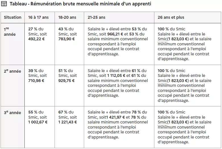 Grille de rémunération des apprentis en 2025