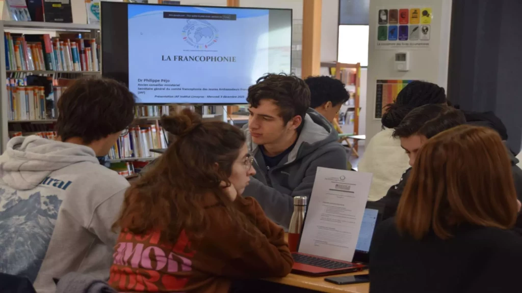 Projet francophonie une activité pour apprendre à travailler dans le social